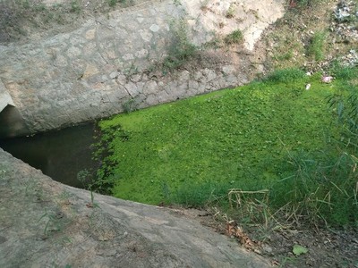 郎营沟野钓记 不打窝的纯粹乐趣