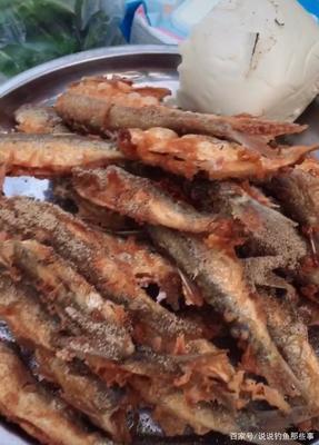 行者野钓营2020官厅水库垂钓纪实 一场与自然共融的心灵之旅