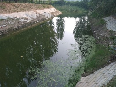 野钓天堂郎营沟 不须打窝，尽享自然之趣