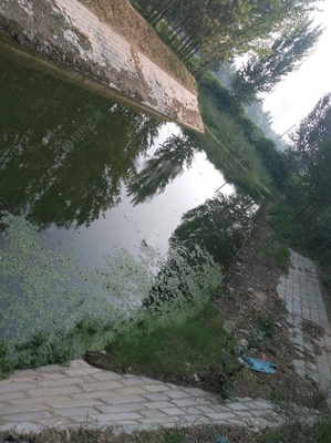 野钓郎营沟 无需打窝的宝藏钓点探秘