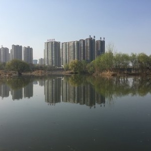 沣河老铁野钓营 一方水域，一份野趣