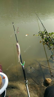 野钓杂牌军与王者之路 在江湖与殿堂间寻找渔趣真谛