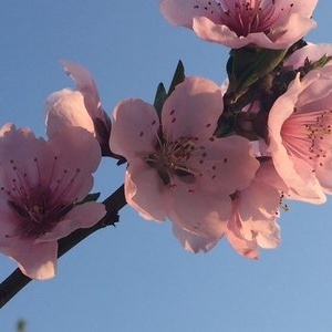 沣河老铁野钓营 探秘自然与垂钓的和谐乐章