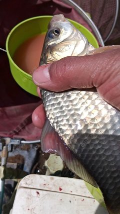 野钓班定营 一路走来，不虚此行
